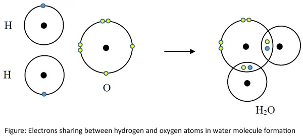 Electrons sharing between hydrogen and oxygen atoms in water molecule formation
